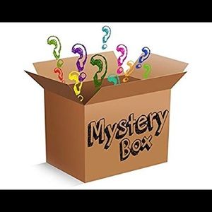 Torrid reseller mystery box 0 1 2 3 4 5